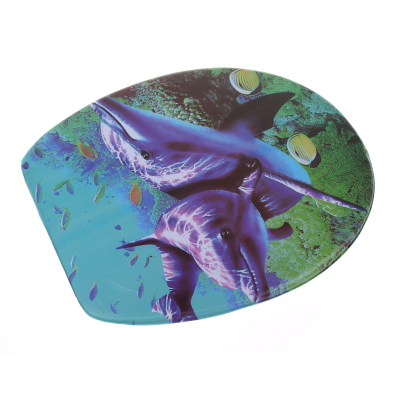 New style dolphin printing toilet lid