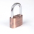 Alarm padlock 110db alarm sounds Plating bronze hanging-type alarm lock