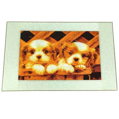 Double dogs pattern silk embroidery house decorations