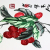 Fruit pattern silk embroidery house decoration