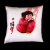 Chinese Dream cushion cover bed pillow cover 