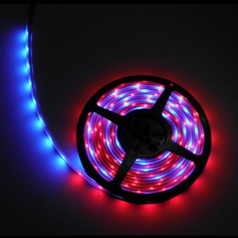 KELANG 5050RGB low voltage LED strip and best waterproof (For  Middle East and Southeast Asian countries)