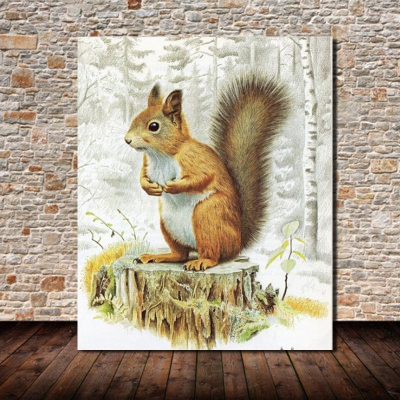 Full Diamond For Home Wall Decoration squirrel Diamond Painting 48*58cm