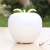 Blowing control Apple bedroom bedside Nightlight USB atmosphere lamp  light adjustable LED lamp