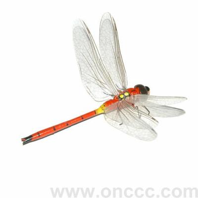 Dragonfly Shape Refridgerator Magnets