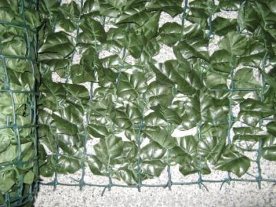 Plastic fence sweet potato leaves