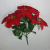 Simulation of simulation and emulation of poinsettia Christmas flower pot simulation simulation flower artificial flower bonsai plant simulation simulation simulation of small tree leaves
