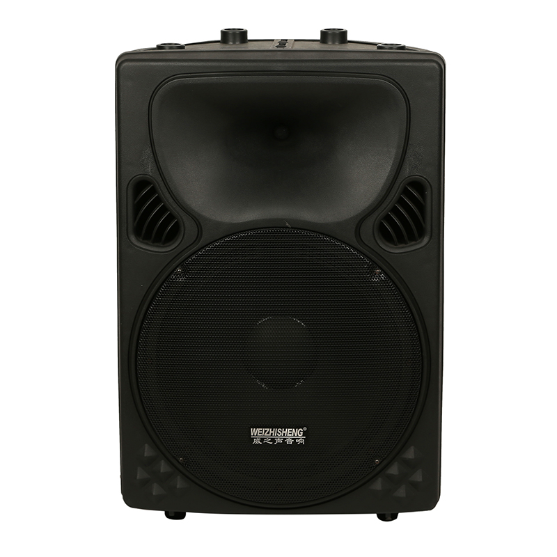 塑料音箱 PA-15H