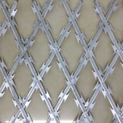Anti-climbing nets prison razor wire no clming