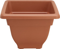 Plastic flower POTS