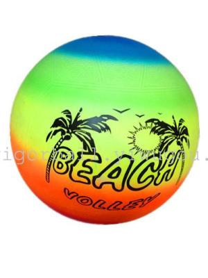 Homegrown 22 cm colored beach volleyball