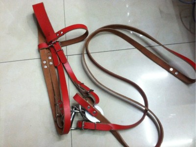 Horse Harness Equestrian Supplies Horse Water Le (Excluding Gag Bit)