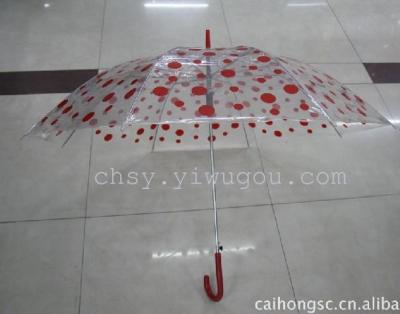 Korean transparent polka dot umbrella POE umbrella is a packaged friendly
