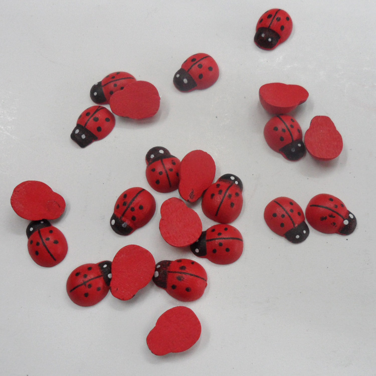 木质七星瓢虫 木质甲虫