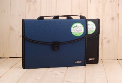 Kangbai PP bundle edge A4/13 grid portable organ bag folder information 8882