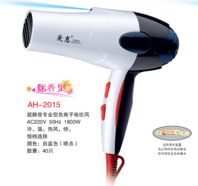 Advanced hair dryer hair dryer 1800W heat hot and cold wind wind adjustable 2029