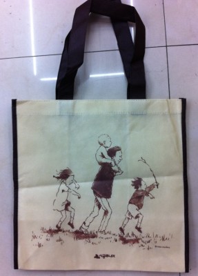 New Exquisite Shopping Bag