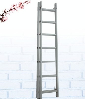 Supply of 2m*2m two-layer layer layer aluminum ladder herder ladder ladder manufacturers direct sale (dg-009)