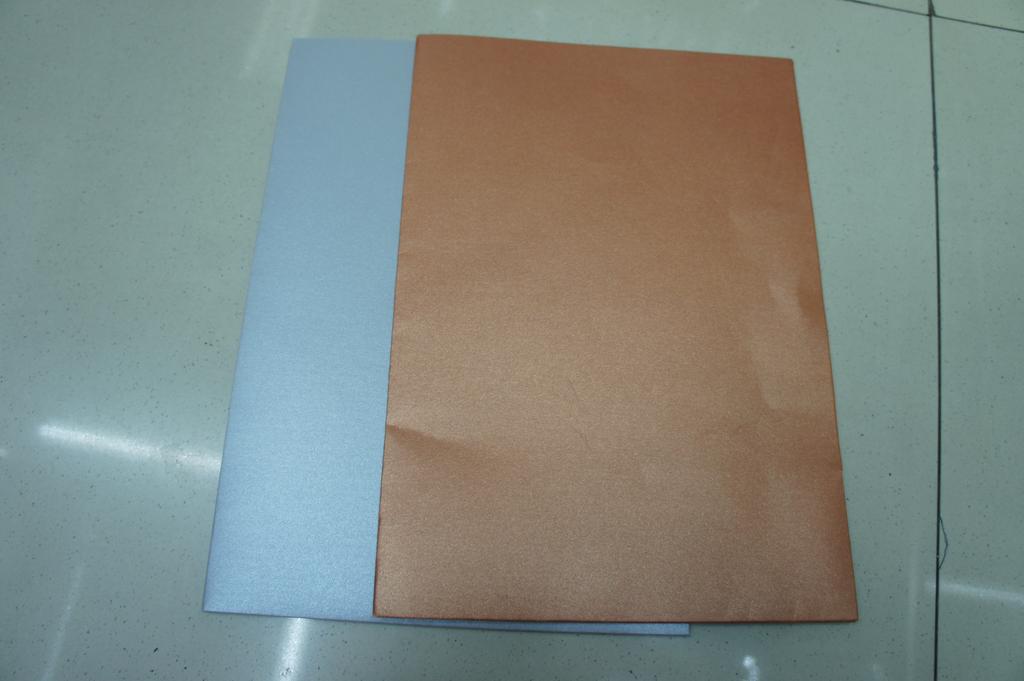 珠光双口袋文件夹