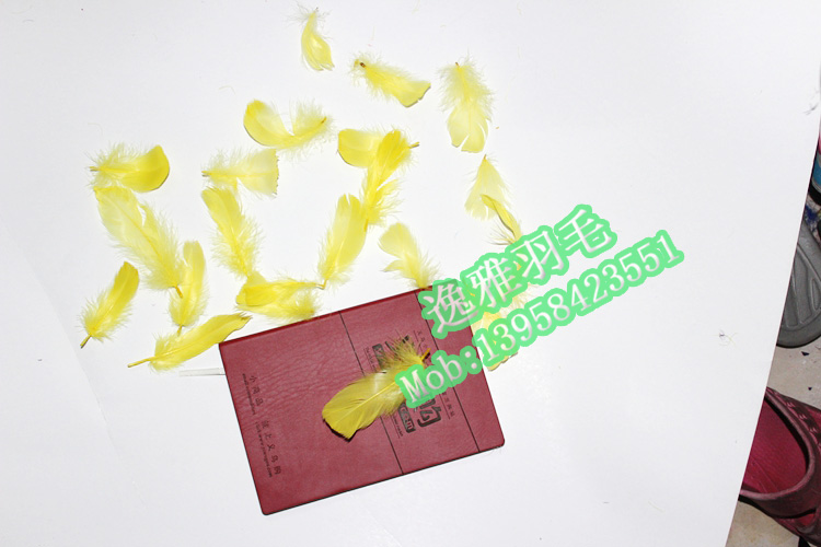 【厂家直销】各种羽毛，DIY羽毛，鹅毛，飘毛，中飘，多色可选