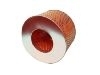 Air Filter (17801-30030)