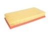 Air filter (17801-0B010)