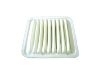 Air Filter (17801-14010)