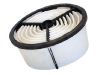 Air Filter (17801-13050)