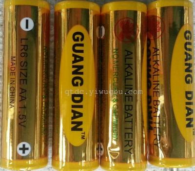 Direct Selling Guangdian Battery 5# Electric Toy Battery Remote Control Battery