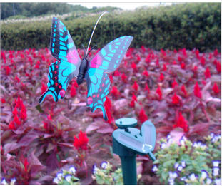 Solar feather bird solar simulation fly Butterfly