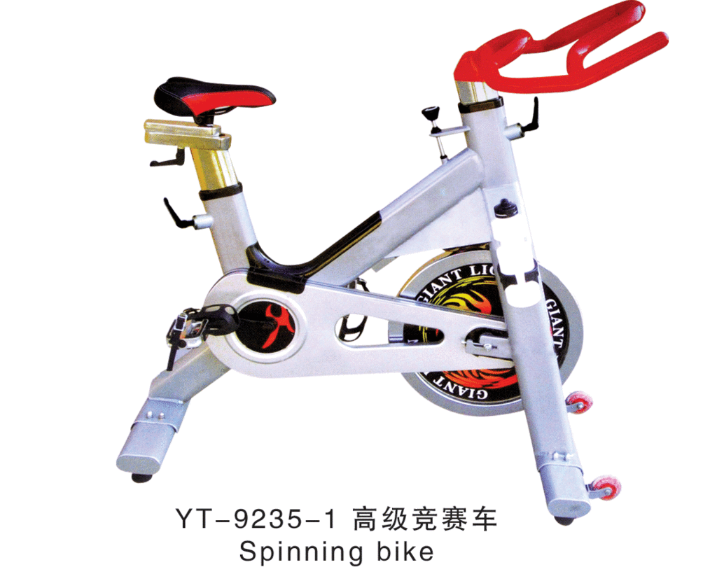Magnetic exercise bike wholesale price