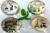 Crystal paperweights-friendly personalities large decorations ornaments