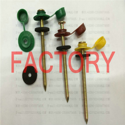 Ring combination nail ring nails nails with plastic nail Cap gasket