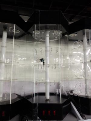 Factory direct wholesale acrylic organic glass display cabinets display black belt hook