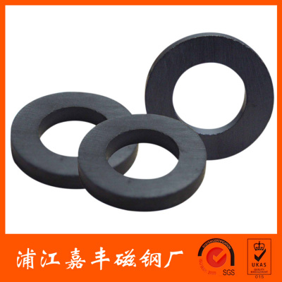 Toroidal Magnet Manufacturer Perforated Ferrite Isotropic Double-Sided Magnet Radial Magnetizer Customized