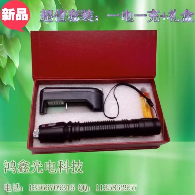 New 306 Green laser star laser light laser hand plants and wholesale price points match-light flashlight