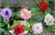 High-end simulation of artificial flowers rose Korea decorative canes wedding corsage rose artificial flower vine