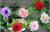 High-end simulation of artificial flowers rose Korea decorative canes wedding corsage rose artificial flower vine