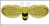 Factory outlets stocking Butterfly party party supplies Halloween Angel Wings