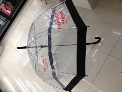 Apollo Umbrella