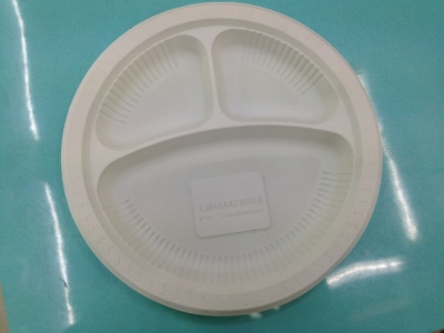 Disposable Corn Starch 10-Inch round Plate