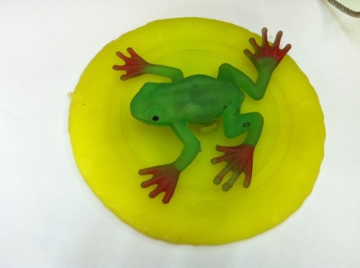 Frog Frisbee