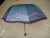 Advertising Umbrella, Triple Folding Umbrella, Foreign Trade Umbrella, Sun Umbrella, Bridal Umbrella