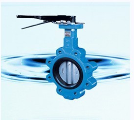 Factory direct disc valve series