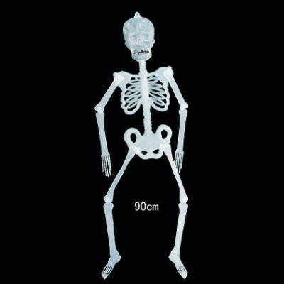 The skeleton in 638 has two colors of green and white