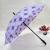 New Korean Golf  Beauty Boutique upscale fashion umbrellas XB-819