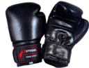 Leather swagger boxing gloves boxing Sanda bag bag gloves for adult Taekwondo hand