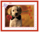 5D0011 waiting for love (5D cross stitch)