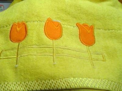 Discontinued embroidered bath towels