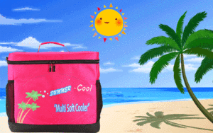 25L PRINT FOLDEN INSULATED AND COOLER BAG